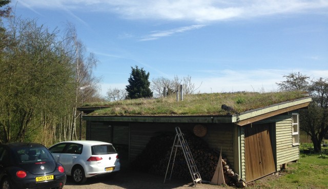 Green roof house, Essex