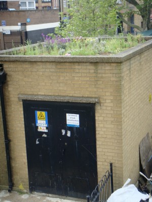 green roof on electricity substation