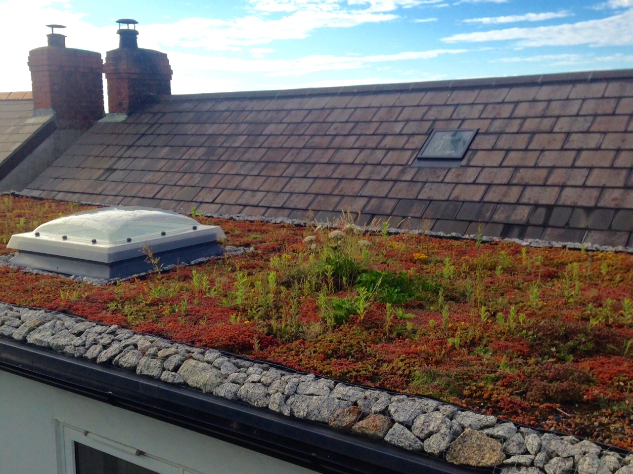 build a green roof on a new house extension