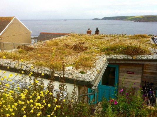 coastal green roof - First and last green roof in England
