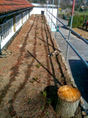 Installing Irrigation on a Small Green Roof