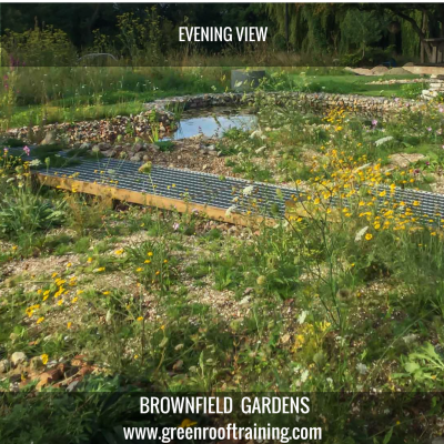 Evening view of brownfield garden