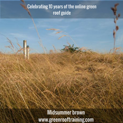 Brown grass roof