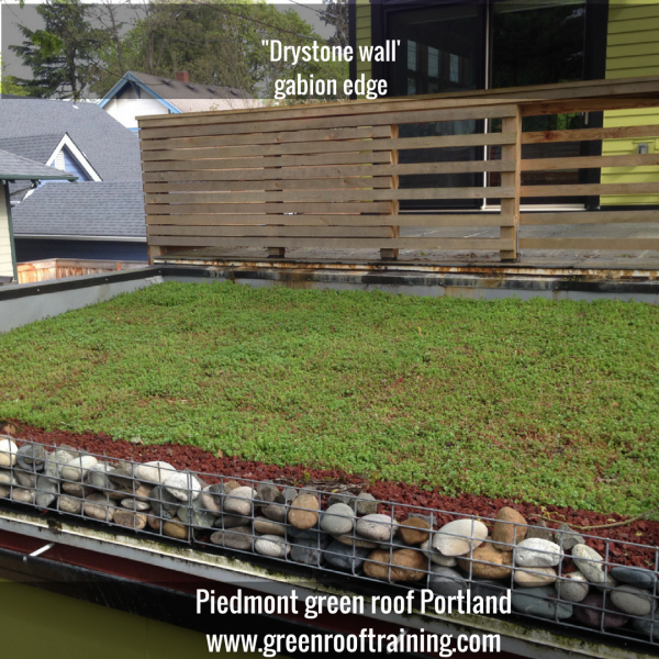 gabion edge - Piedmont green roof Portland