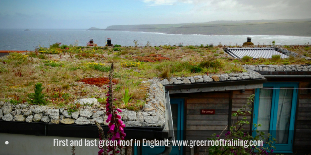 clifftop green roof - first and last
