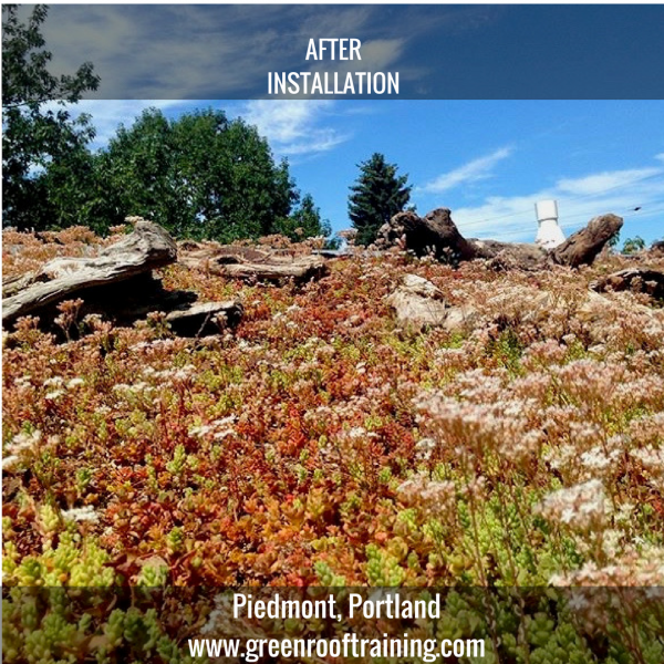 Piedmont green roof