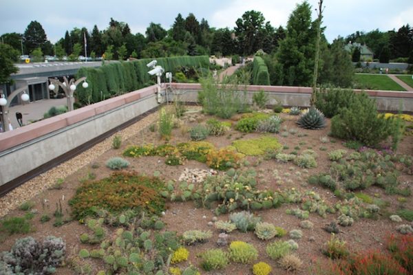 Denver Botanical Garden green roof