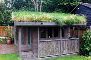 a small green roof build on an old shed