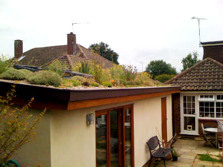 a green roof on a new house extension