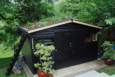 small green roof on wendy house